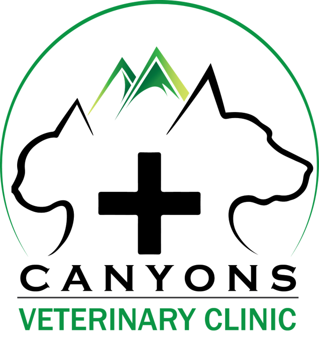 Canyons Veterinary Clinic